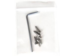 bag with screws and allen wrench